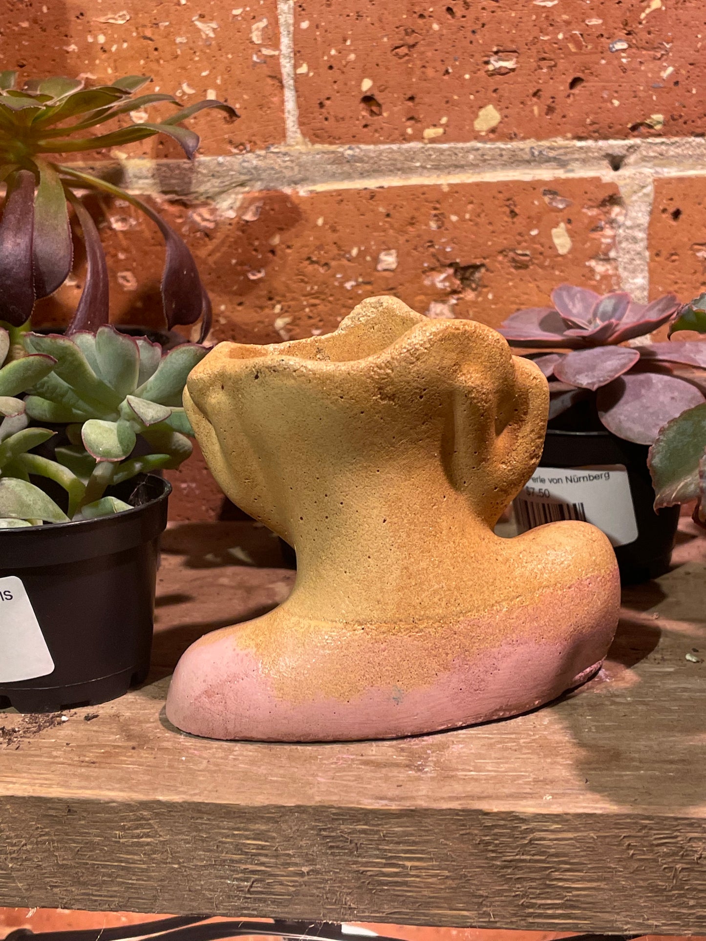 2.5" Concrete Head Bust Pink/Yellow