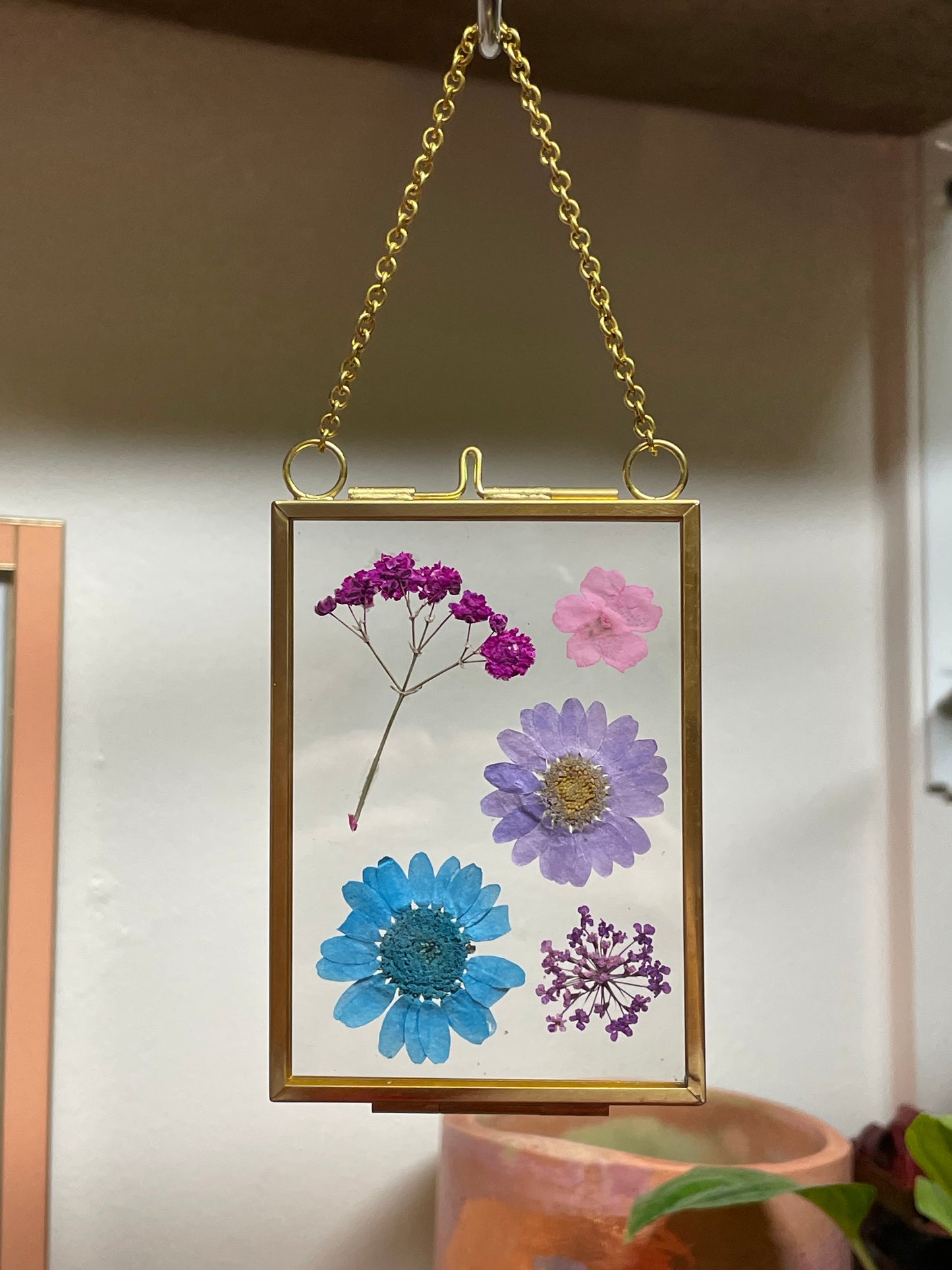 Pressed Flower Wall Hanging |Dyed Daisies