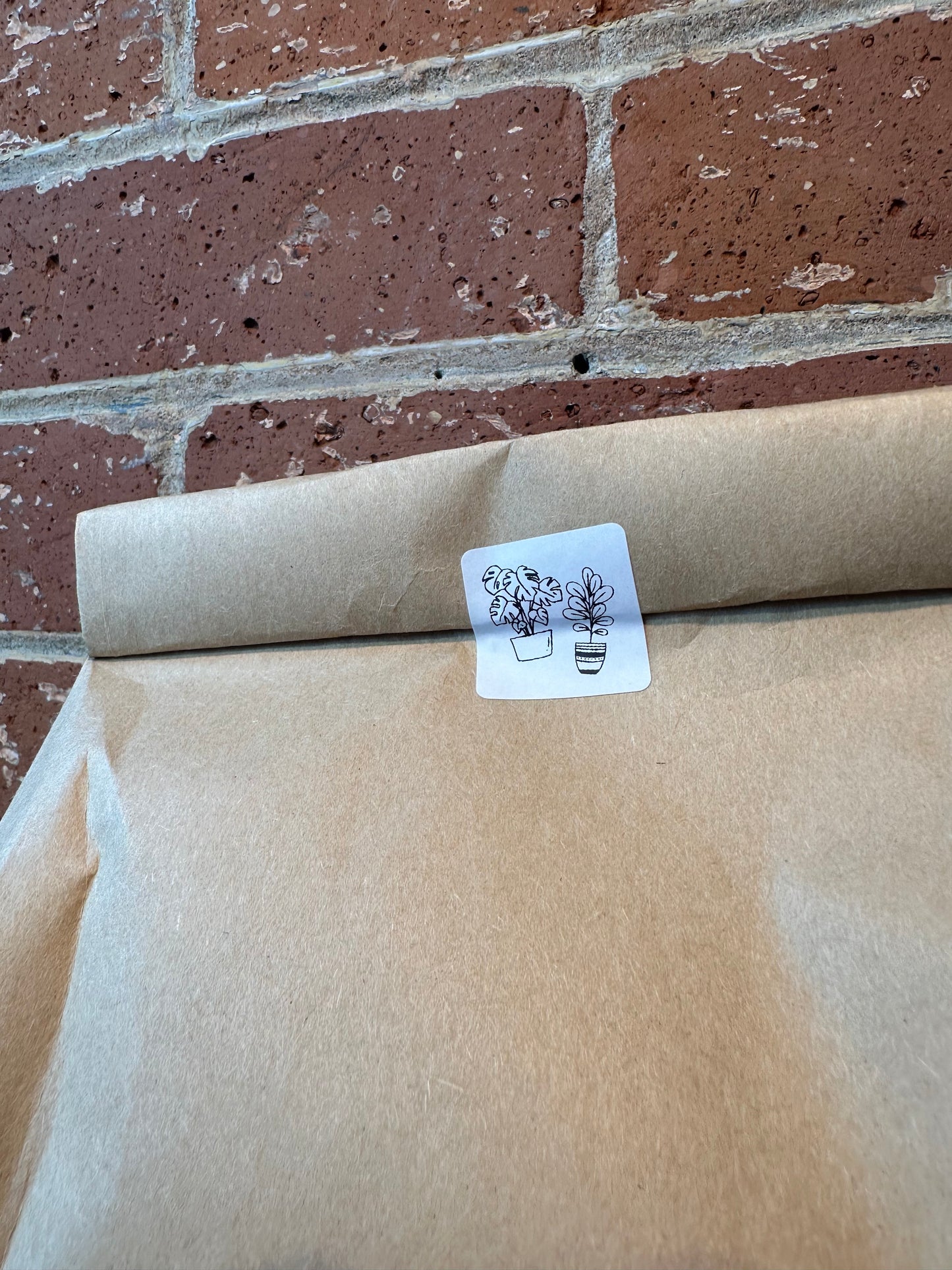 Original Blend: Tropical Houseplant Soil | 8L