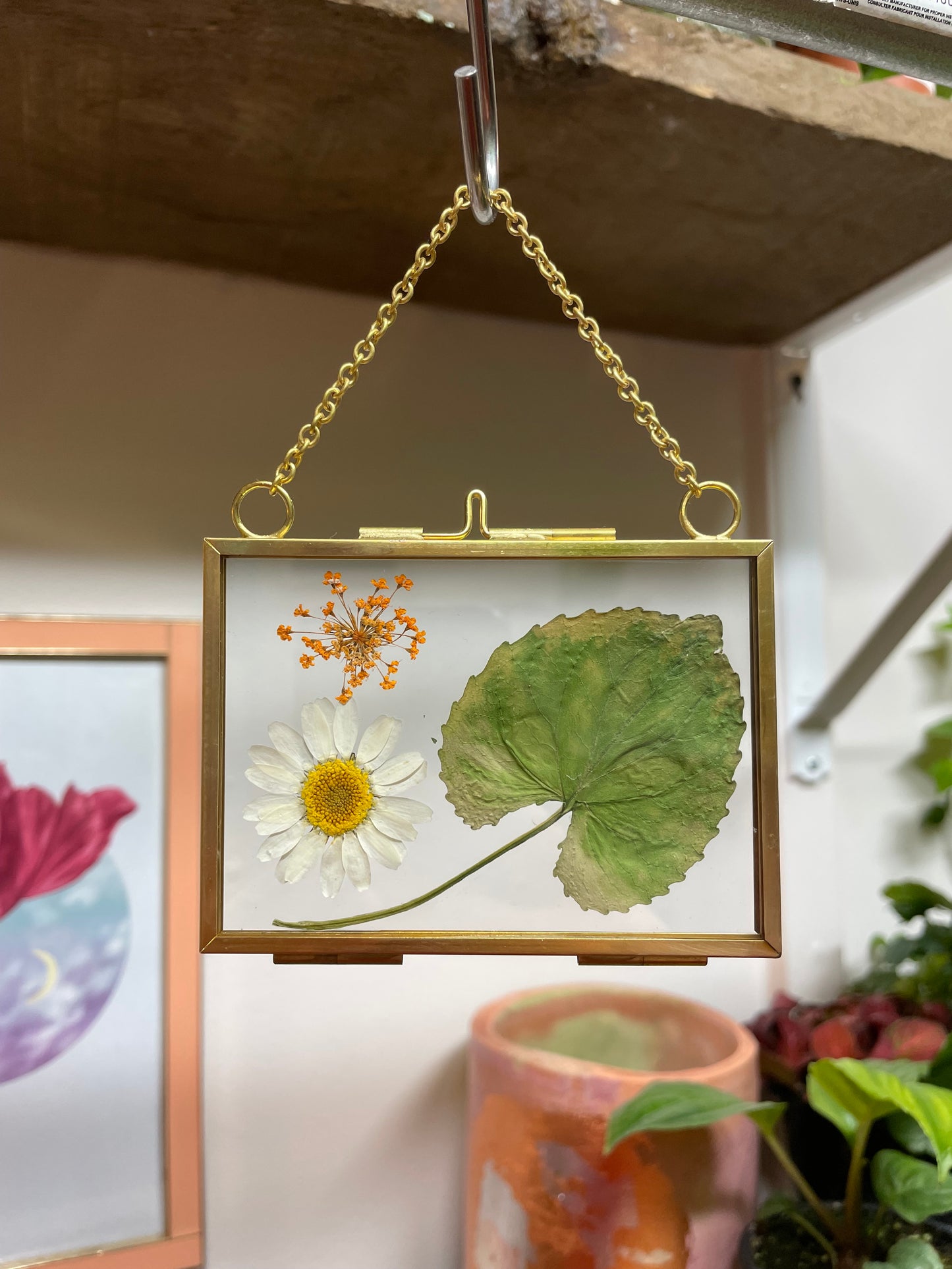 Pressed Flower Wall Hanging | Daisy and Violet Leaf