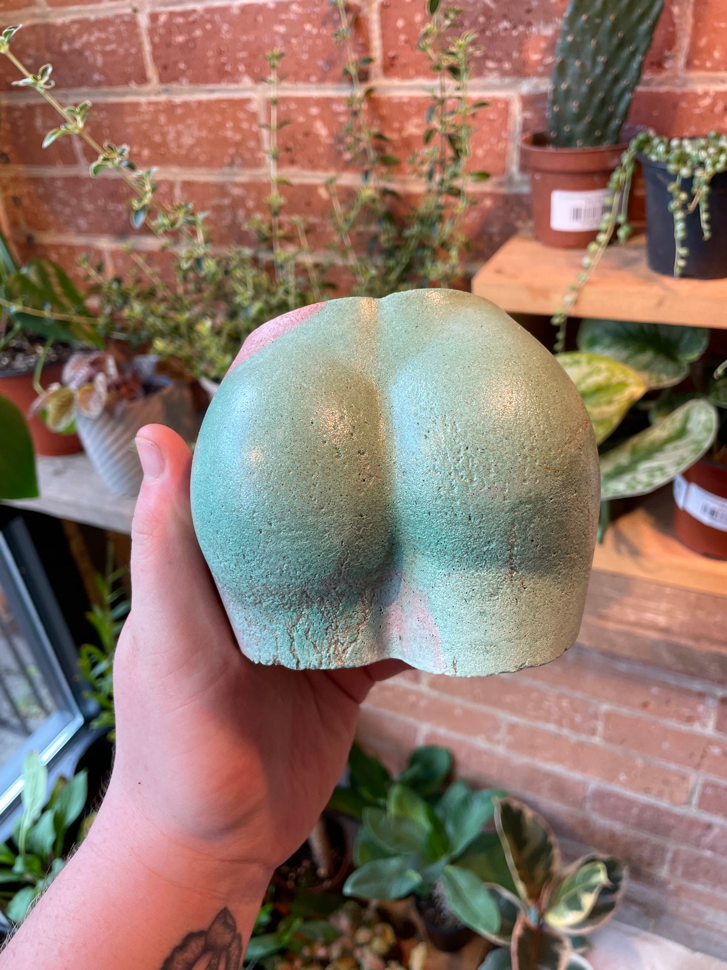 2.5" Concrete Butt Pot Peach/Green