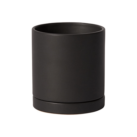 Plant Goals Plant Shop 4.25" Romey Pot | Black