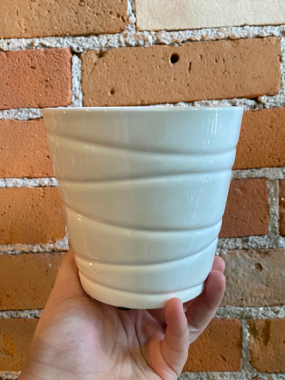 Plant Goals Plant Shop 4" Wave Potcover | White
