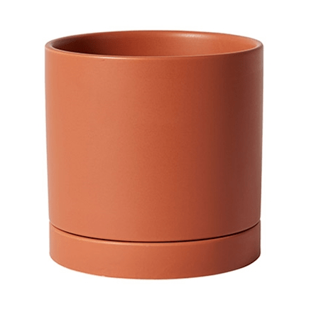 Plant Goals Plant Shop 7" Romey Pot | Terracotta