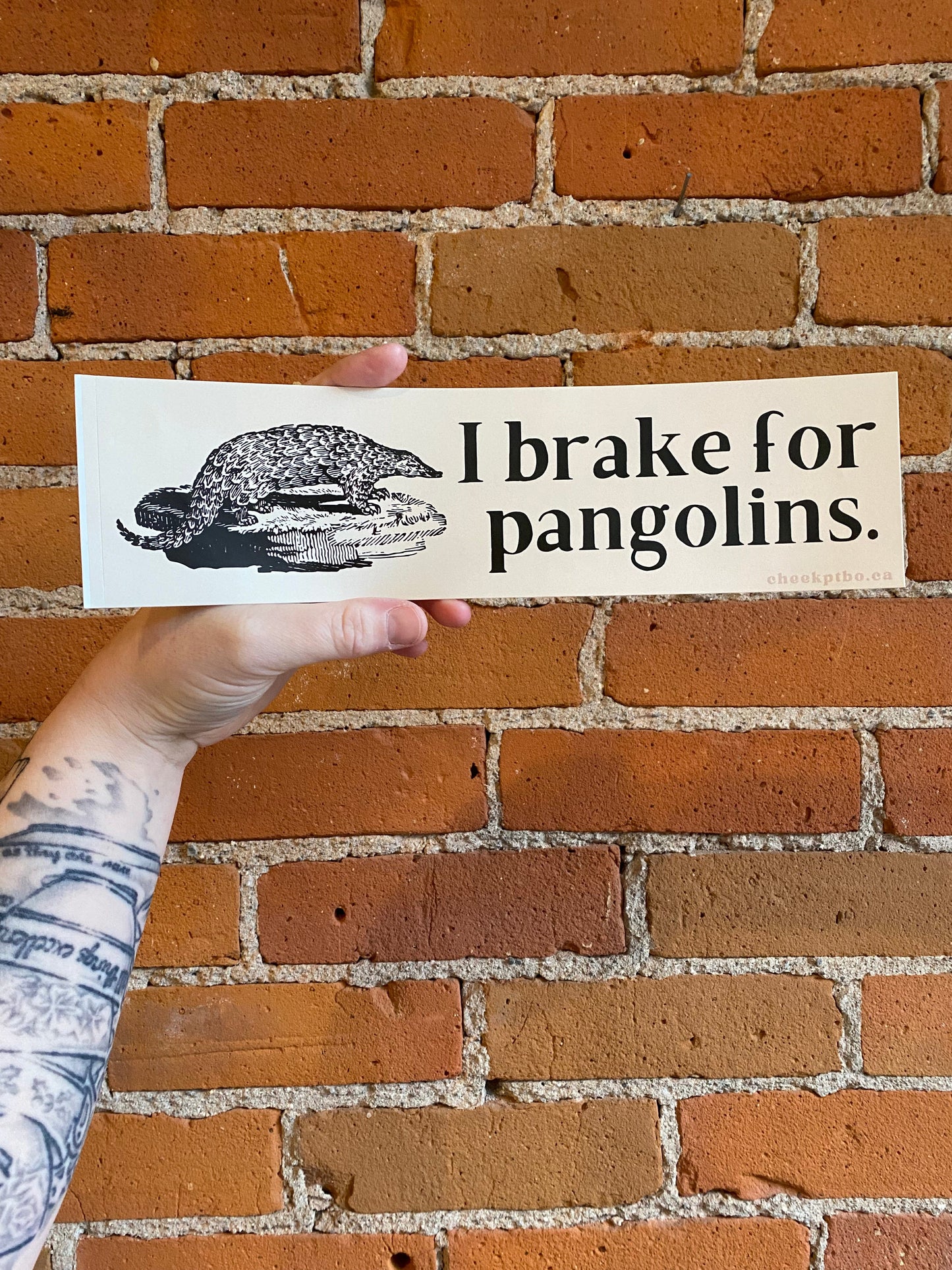 Plant Goals Plant Shop I Brake For Pangolins Bumper Sticker