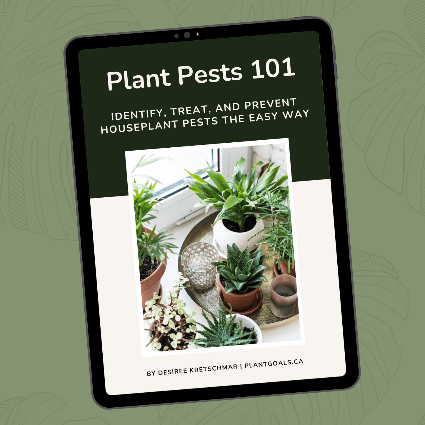 Plant Goals Plant Shop PRE-ORDER Plant Pests 101