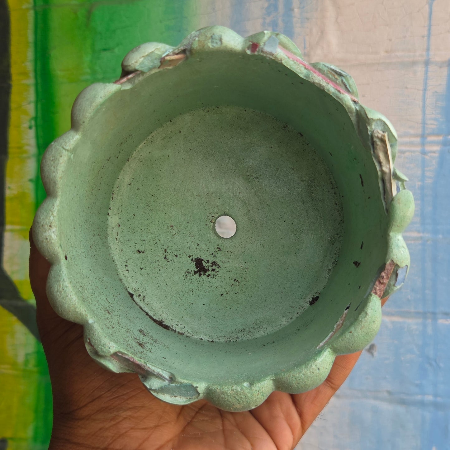 6” ‘Lady fingers' Concrete Pot Light Green w/ cracked rim