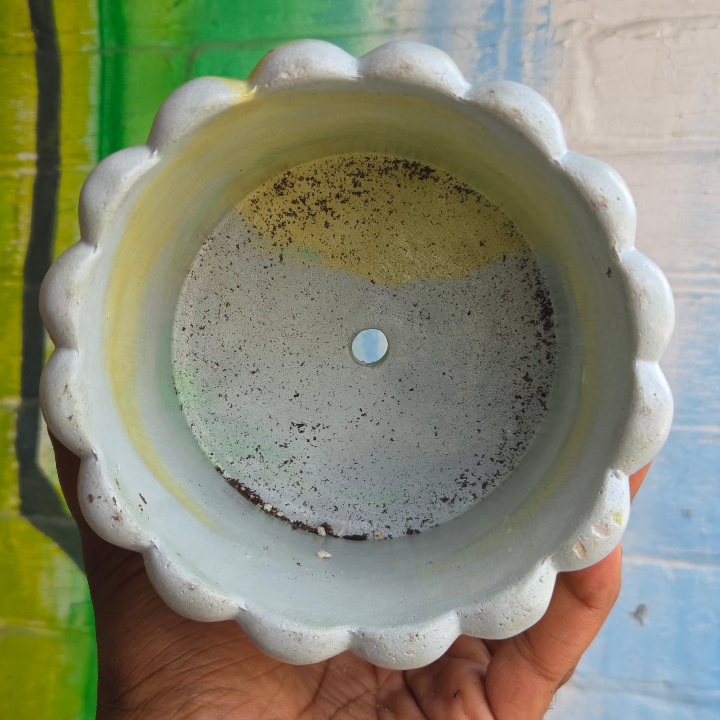 6” ‘Lady fingers' Concrete Pot Yellow/Blue/Teal/White
