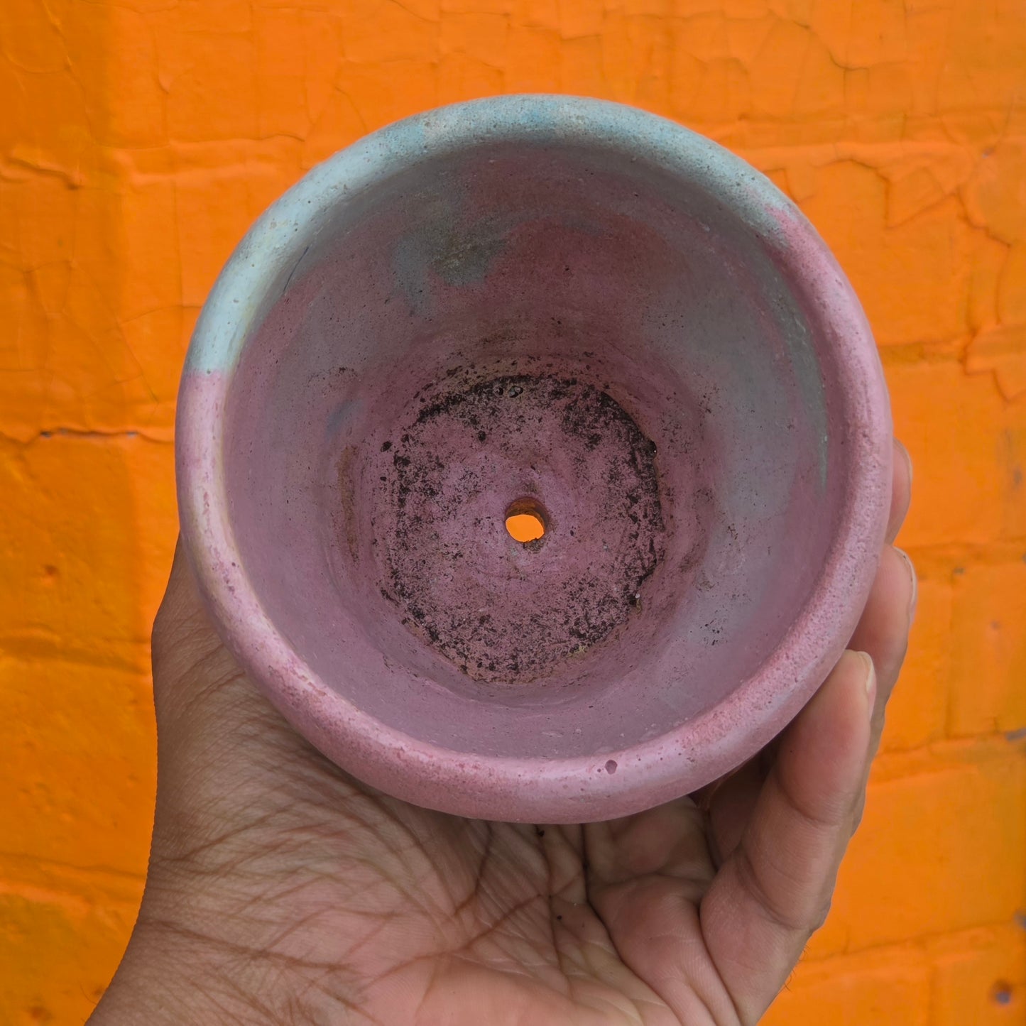 3.5" Concrete Tulip Pot Pink/Baby Blue