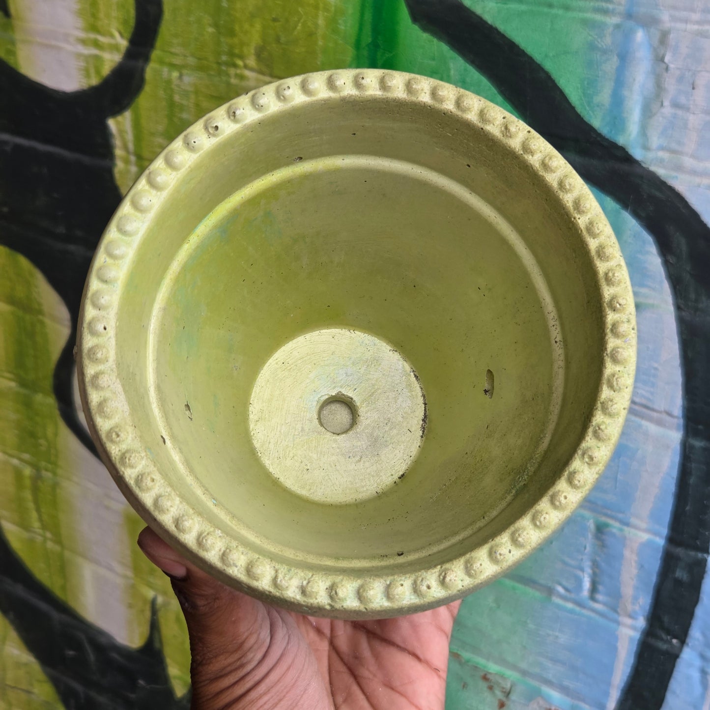 5" Concrete Tapered Pot w/Tray Mixed Yellow/Green