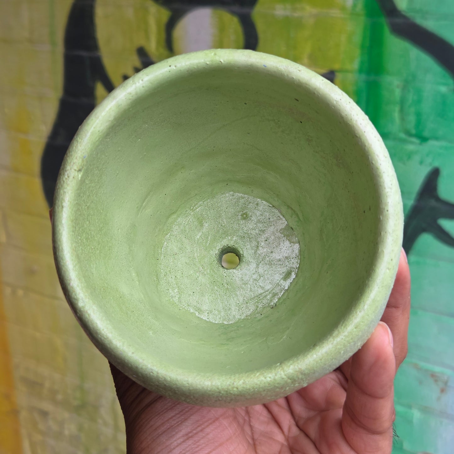 3.5" Concrete Tulip Pot Light Green/Yellow Mix