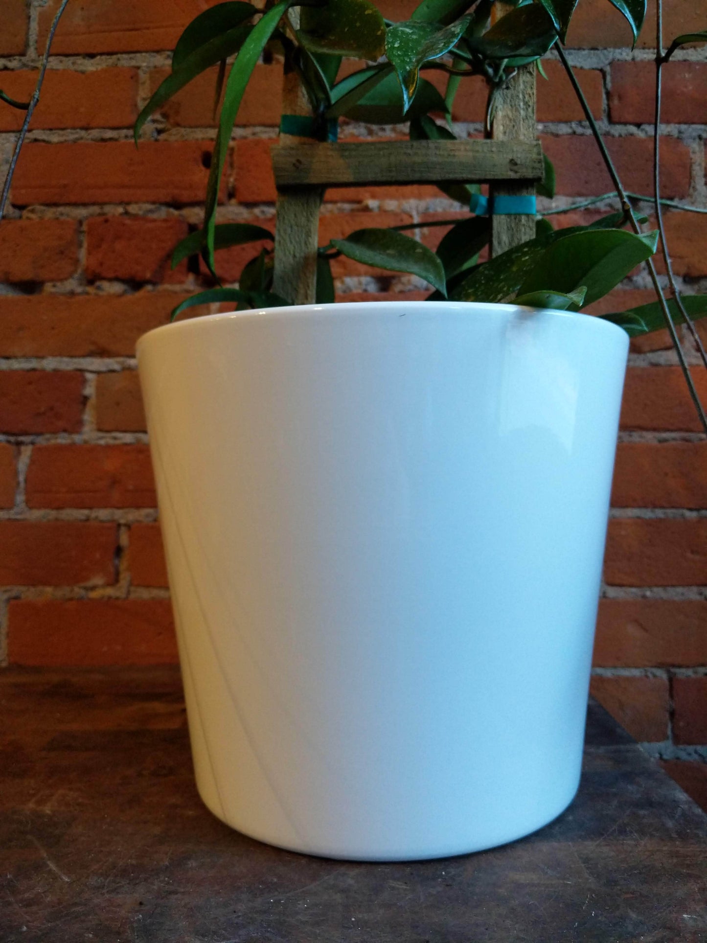 Plant Goals Plant Shop 10" Lina Potcover | White