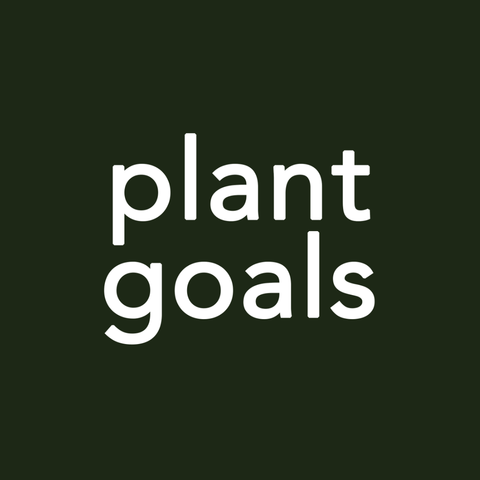 Plant Goals Plant Shop 10" Spider Plant Hanging Basket