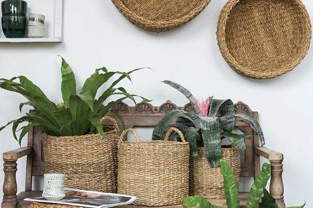 Plant Goals Plant Shop 13.5" Hacienda Basket