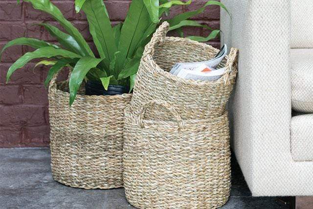 Plant Goals Plant Shop 13.5" Hacienda Basket