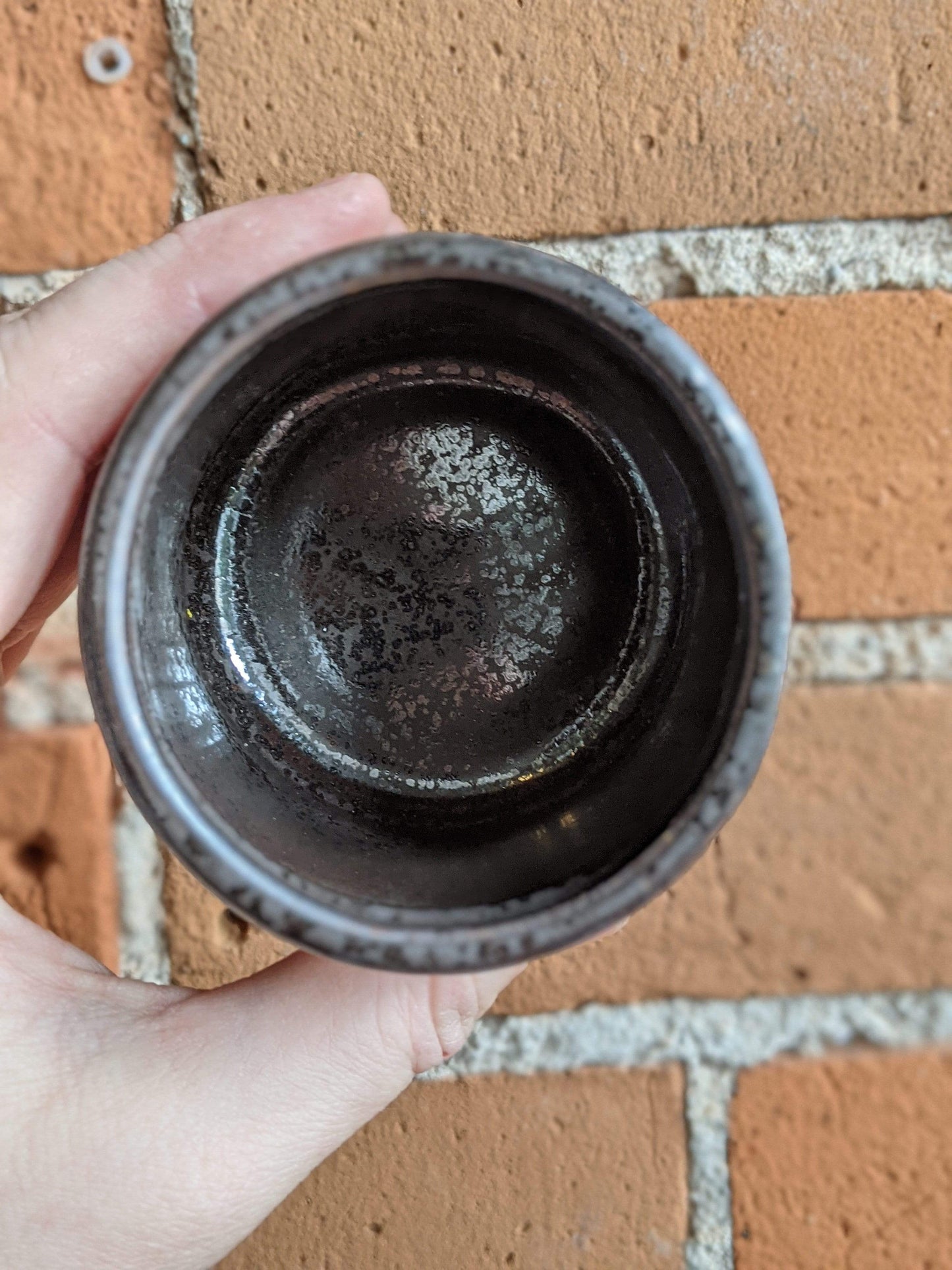 Plant Goals Plant Shop 2.5" Goblet Potcover