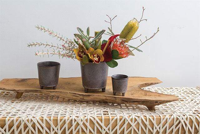 Plant Goals Plant Shop 2.75" Malcom Footed Potcover