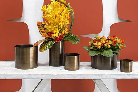 Plant Goals Plant Shop 3.25" Lincoln Potcover