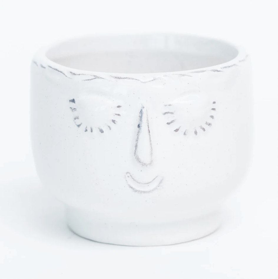 Plant Goals Plant Shop 3" Serene Potcover | Cream
