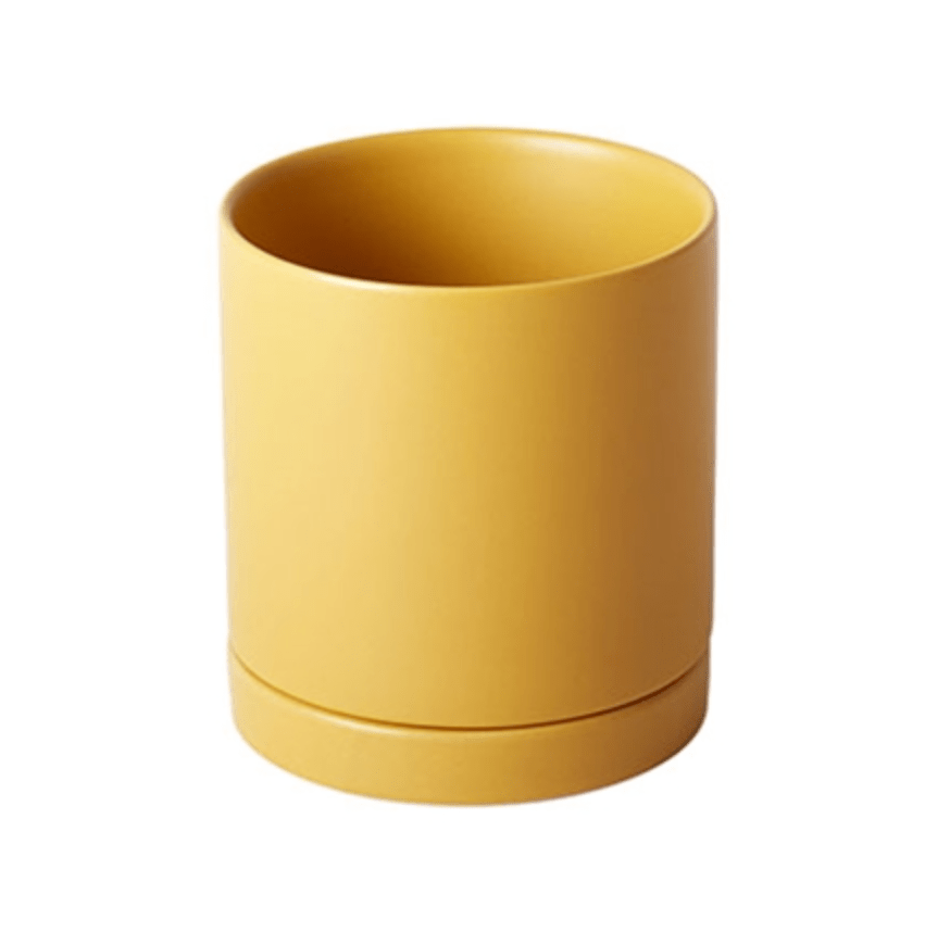 Plant Goals Plant Shop 4.25" Romey Pot | Yellow