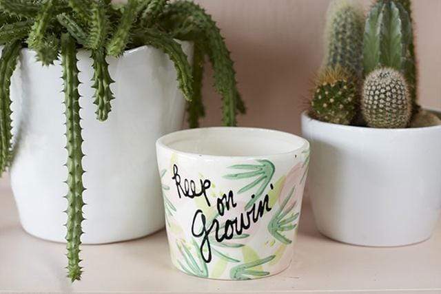 Plant Goals Plant Shop 4.5" Keep On Growing Potcover