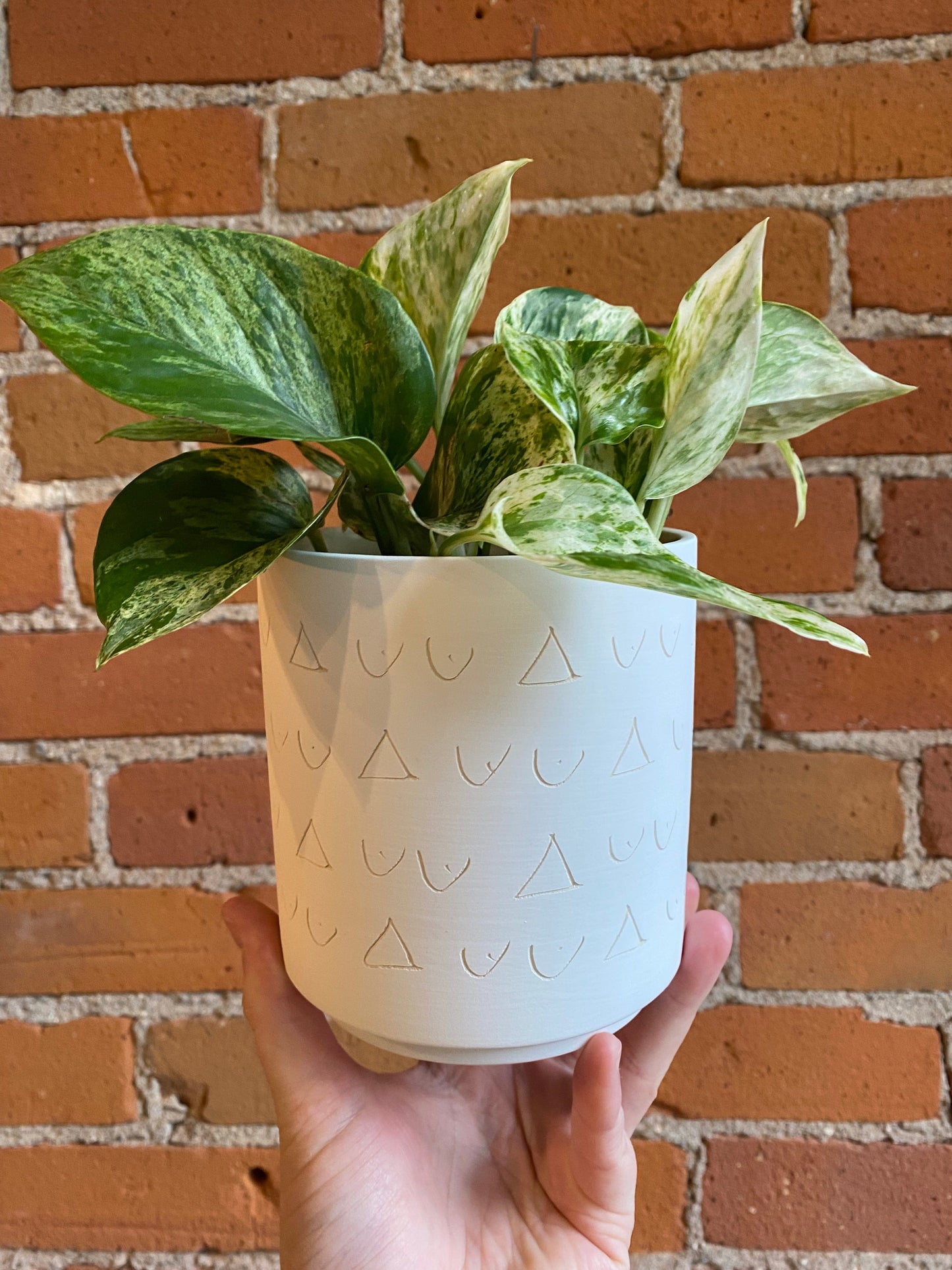 Plant Goals Plant Shop 4.5" Triangles And Tatas Potcover