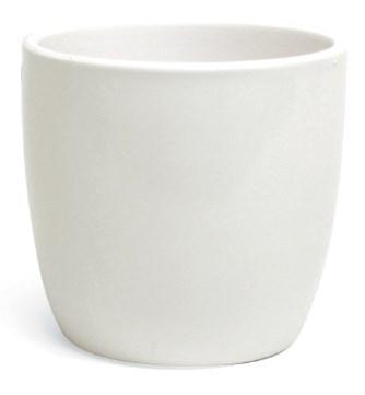 Plant Goals Plant Shop 4.75" Berks Potcover | White