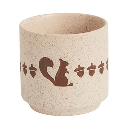 Plant Goals Plant Shop 4.75" Nutty Potcover