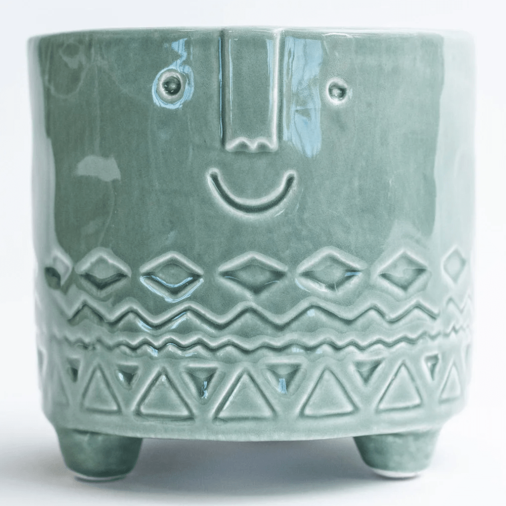 Plant Goals Plant Shop 4.9" Friendly Face Potcover | Aqua