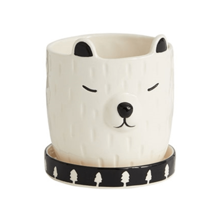 Plant Goals Plant Shop 4" Barry Pot