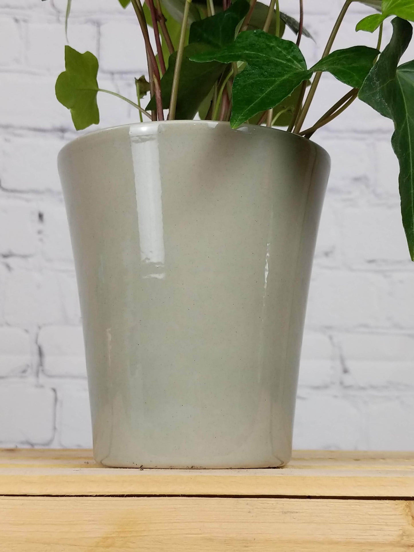 Plant Goals Plant Shop 4" Brenda Potcover | Sage