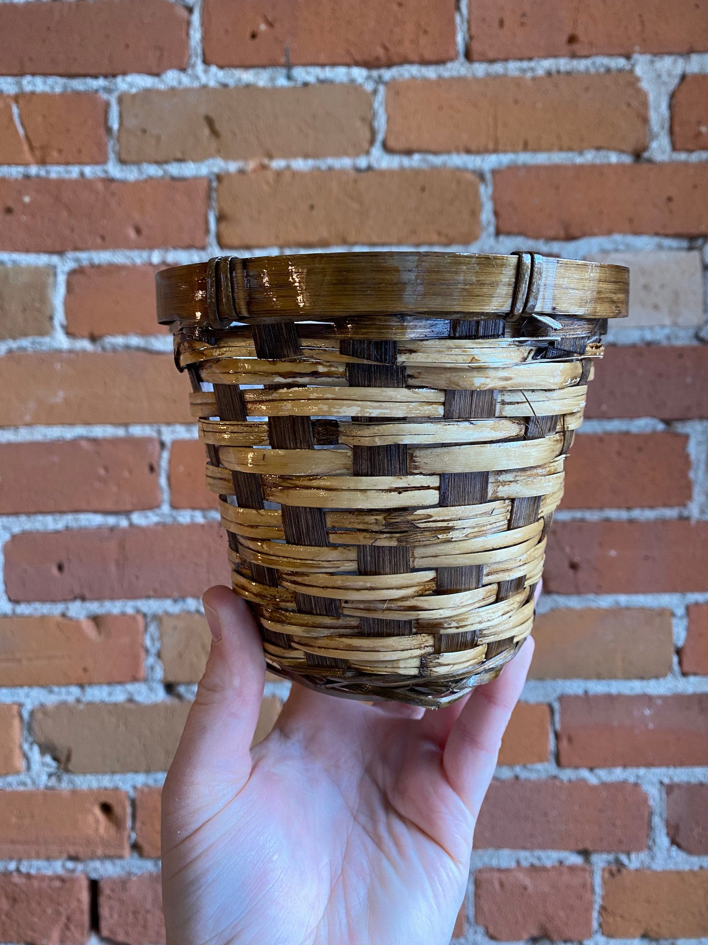 Plant Goals Plant Shop 4" Danbury Basket Potcover