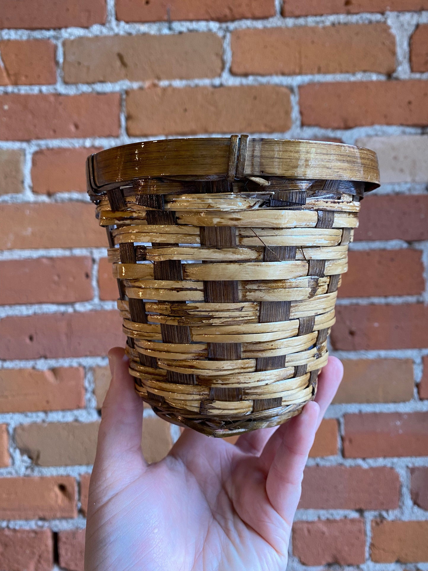 Plant Goals Plant Shop 4" Danbury Basket Potcover
