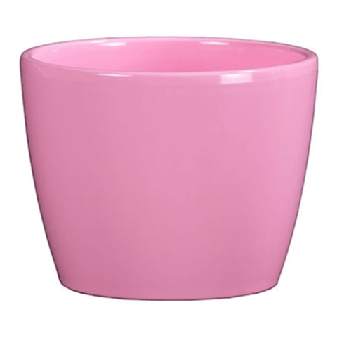 Plant Goals Plant Shop 4" Marlow Potcover | Soft Pink