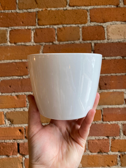 Plant Goals Plant Shop 4" Marlow Potcover | White