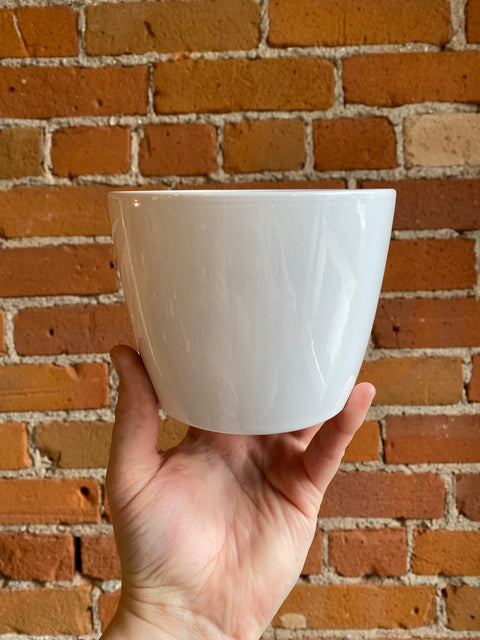 Plant Goals Plant Shop 4" Marlow Potcover | White