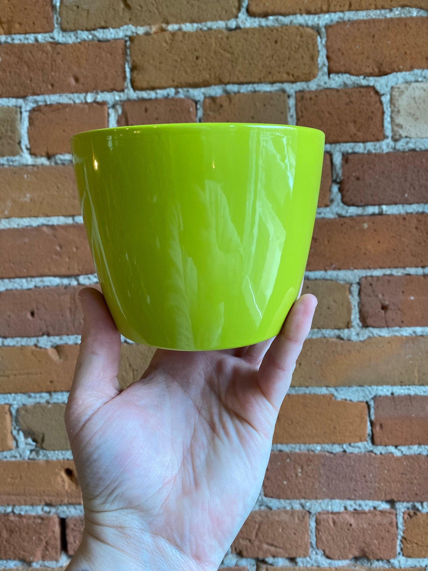 Plant Goals Plant Shop 4" Marlow Potcover | Yellow Green