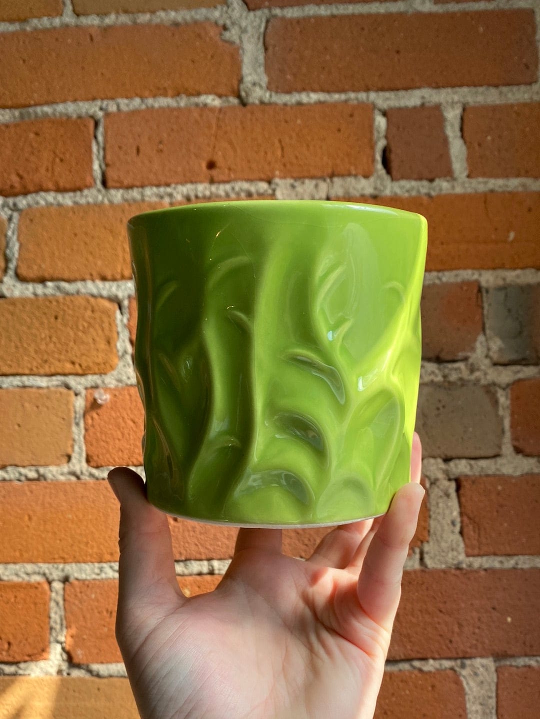 Plant Goals Plant Shop 4" Musta Potcover | Green Bamboo