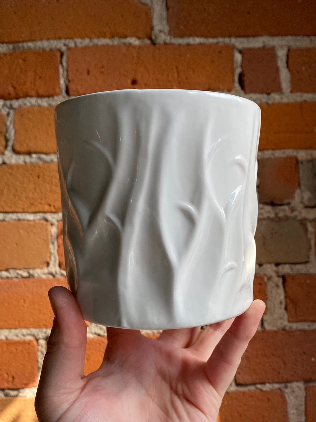 Plant Goals Plant Shop 4" Musta Potcover | White