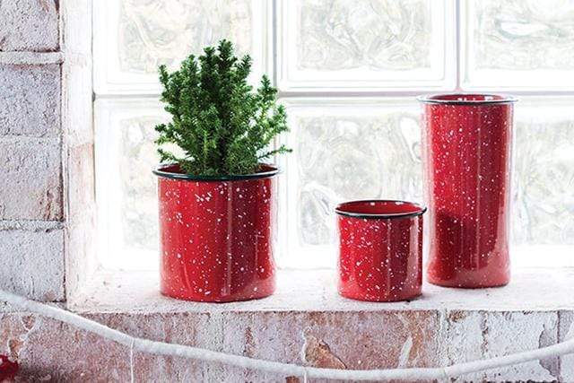 Plant Goals Plant Shop 5.25" Jovial Potcover