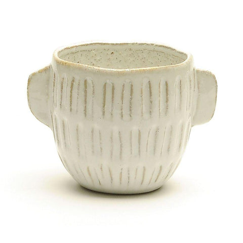 Plant Goals Plant Shop 5.5" Antrim Potcover