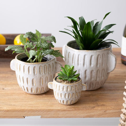 Plant Goals Plant Shop 5.5" Antrim Potcover