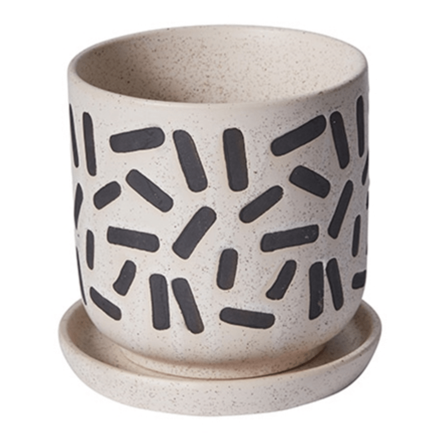 Plant Goals Plant Shop 5.75" Sundae Pot | Black