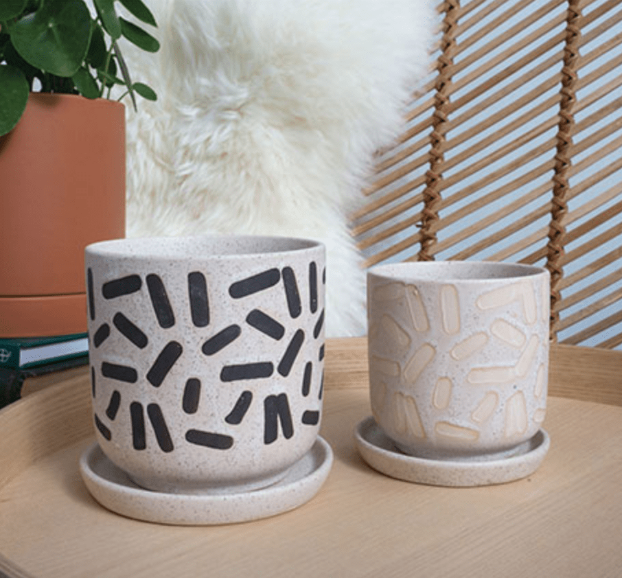 Plant Goals Plant Shop 5.75" Sundae Pot | Black