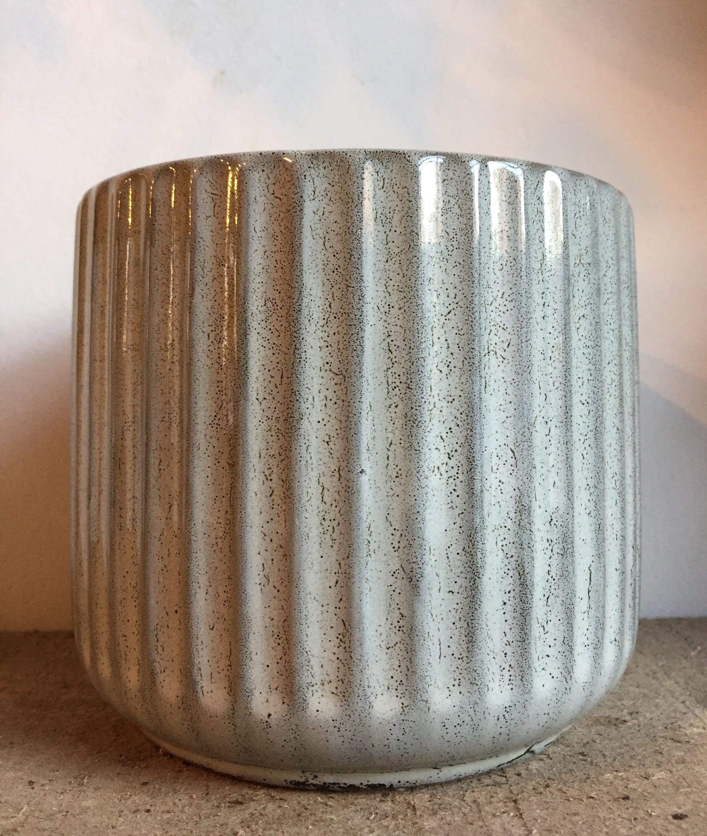 Plant Goals Plant Shop 5" Beatrice Potcover
