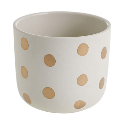 Plant Goals Plant Shop 5" Izzy Pot