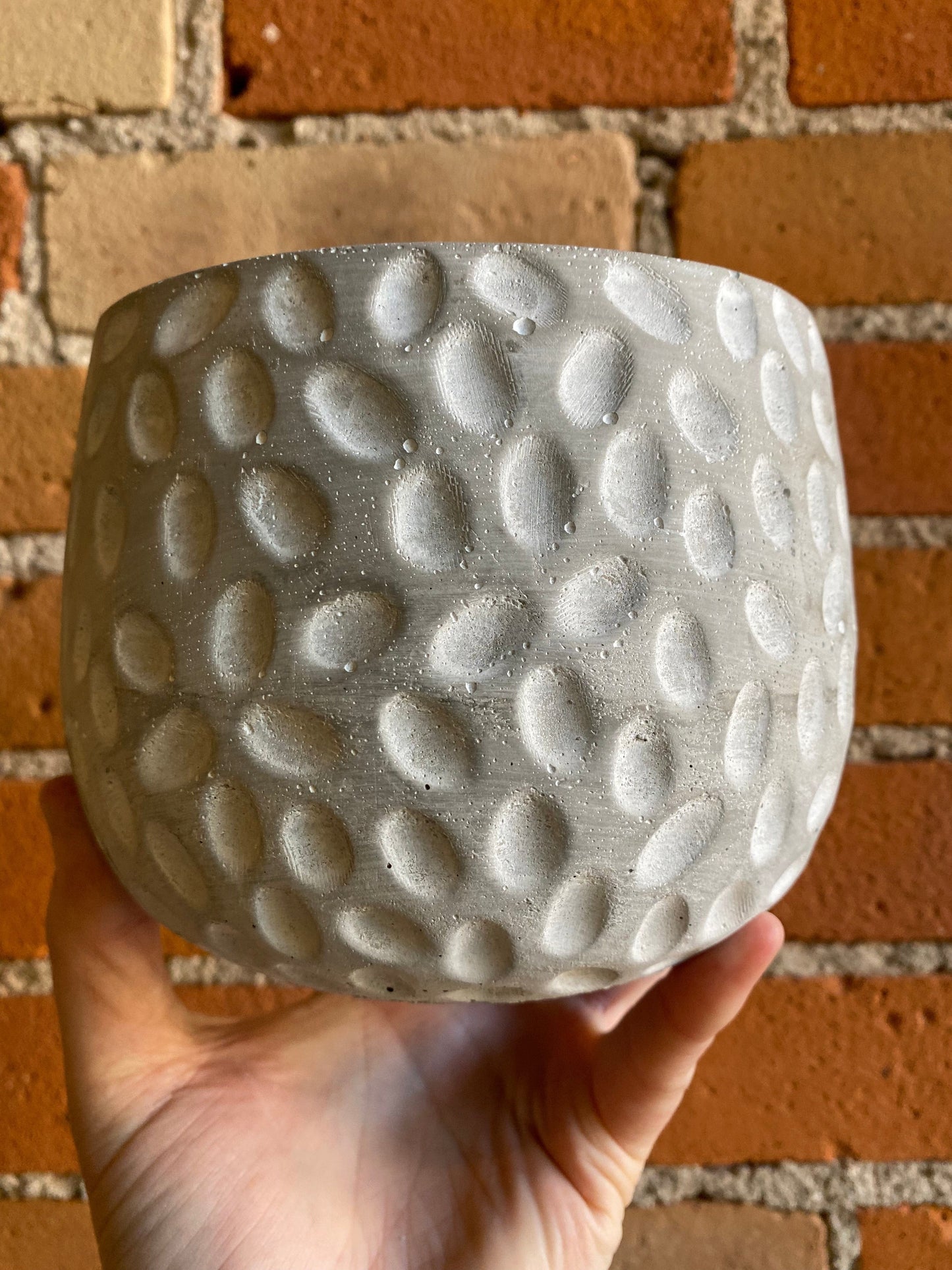 Plant Goals Plant Shop 5" Pebble Potcover