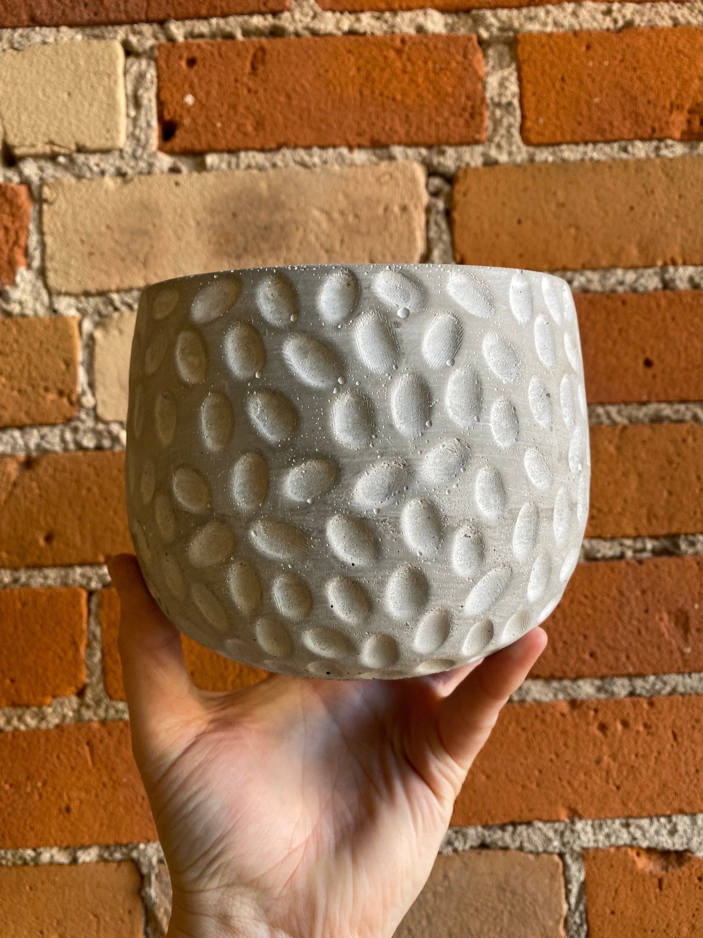 Plant Goals Plant Shop 5" Pebble Potcover