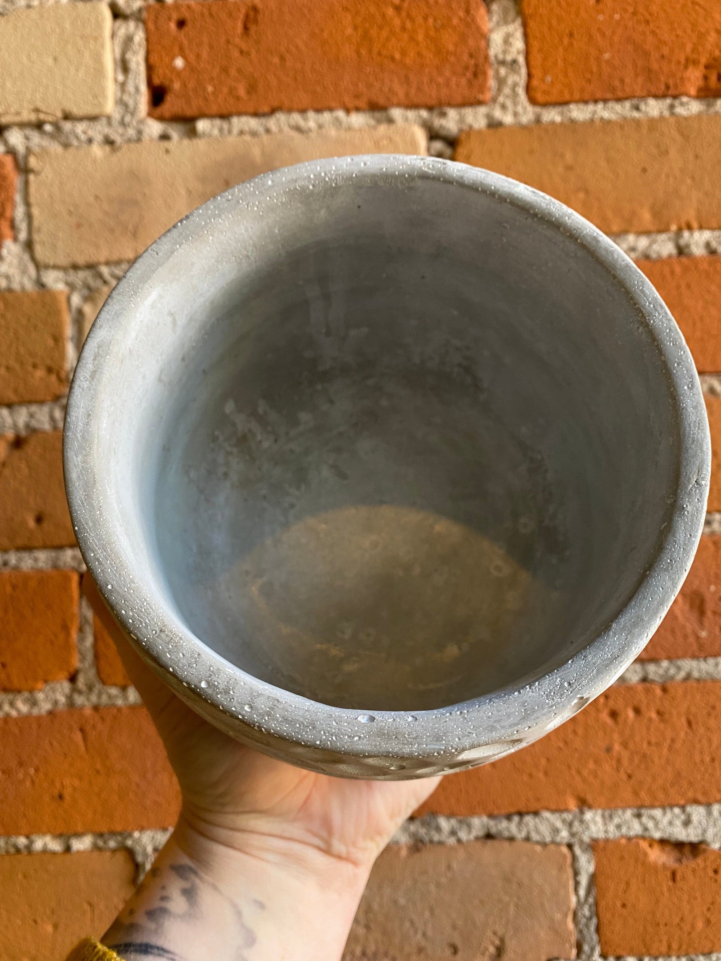 Plant Goals Plant Shop 5" Pebble Potcover
