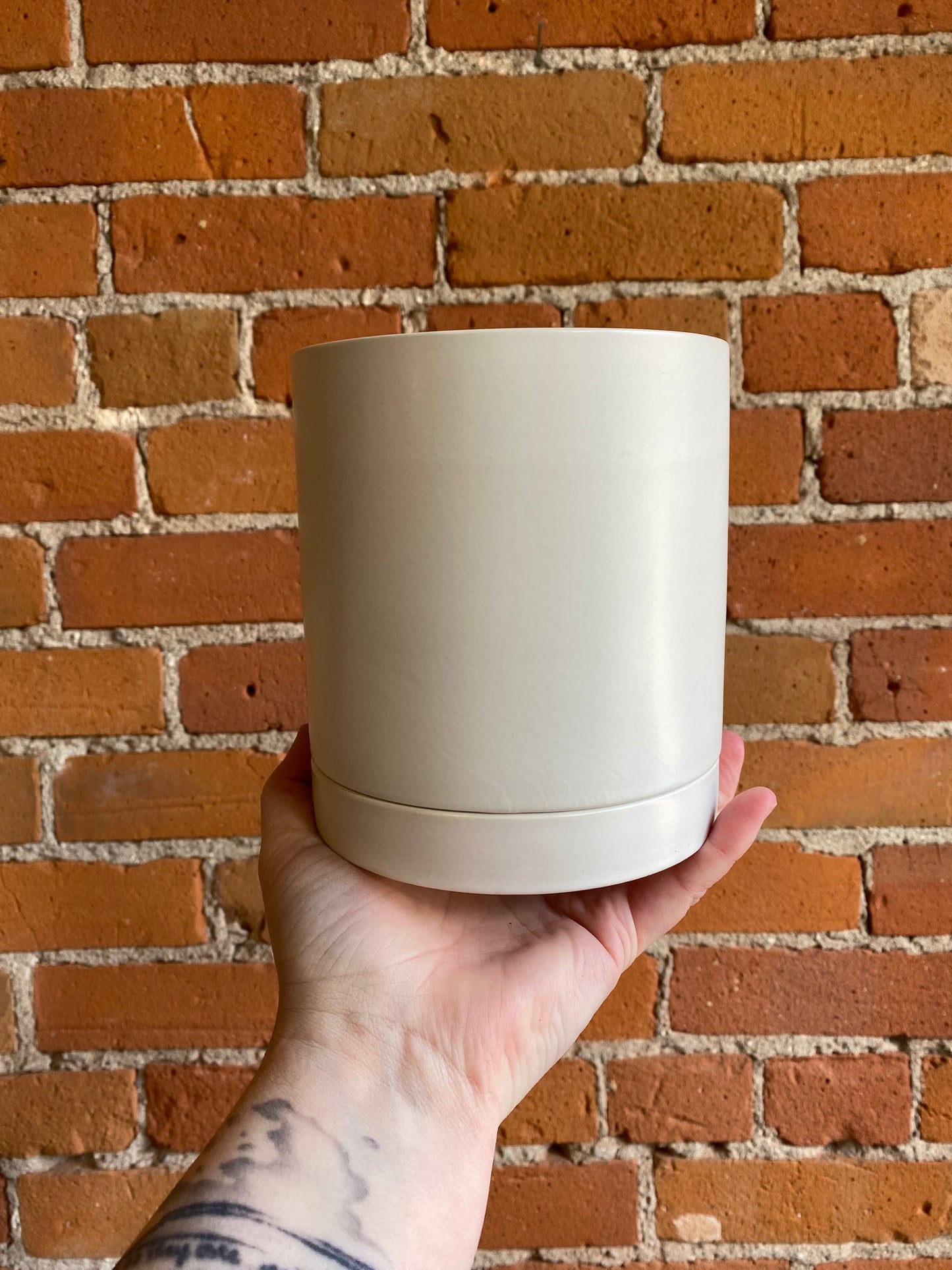 Plant Goals Plant Shop 5" Romey Pot | White